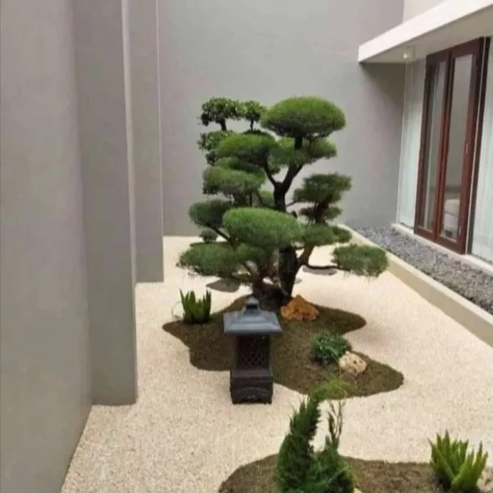 Jasa Pembuatan Taman Zen Garden (Taman Jepang) di Jakarta